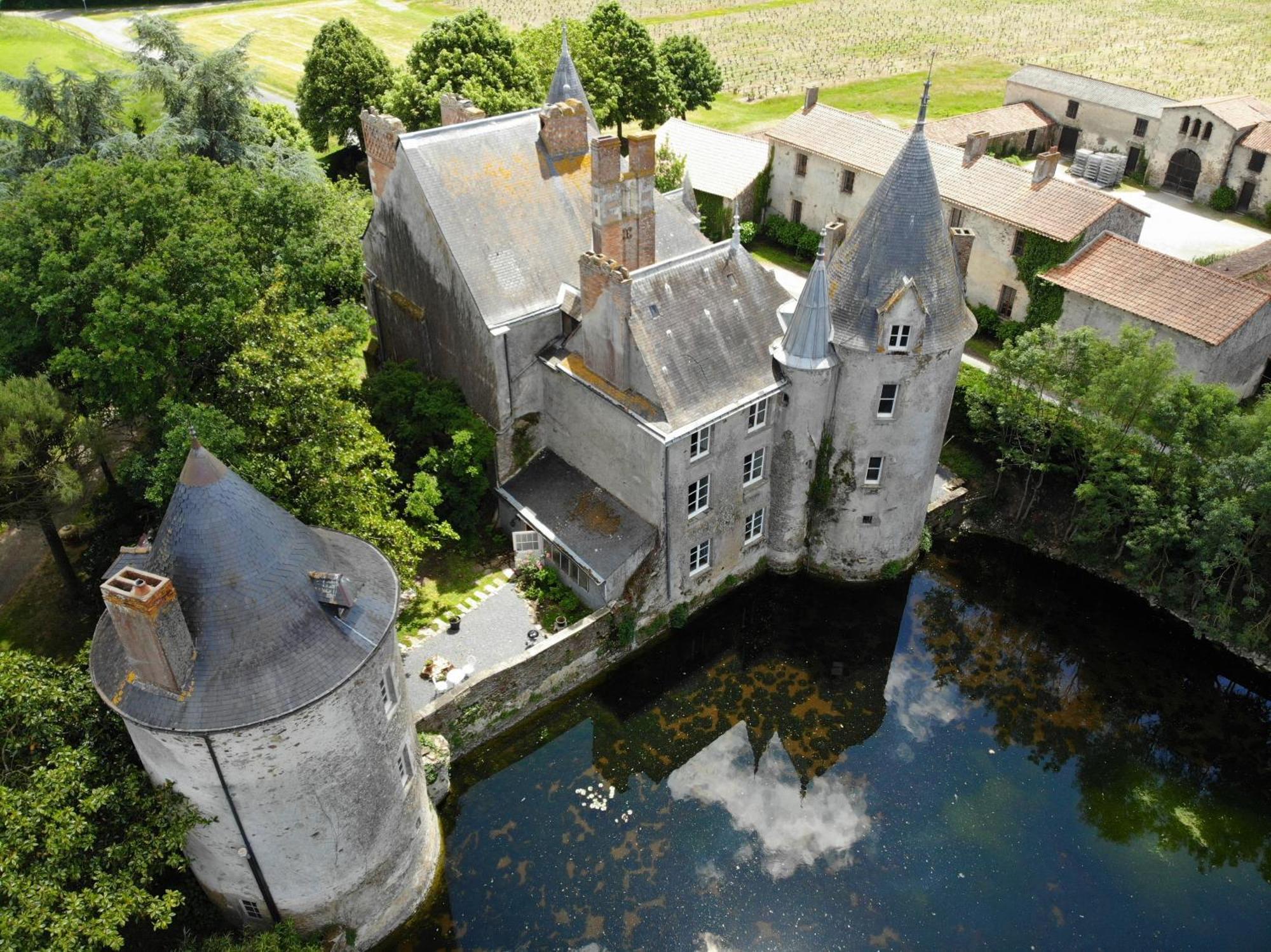 Chateau De La Preuille Gites Montaigu-Vendee Exterior photo